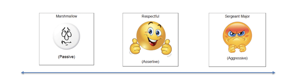 3 icons passive assertive and aggressive 