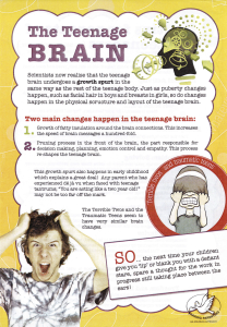 The teenage brain poster yellow and writing and image of teenager